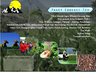 paket gunung mas puncak