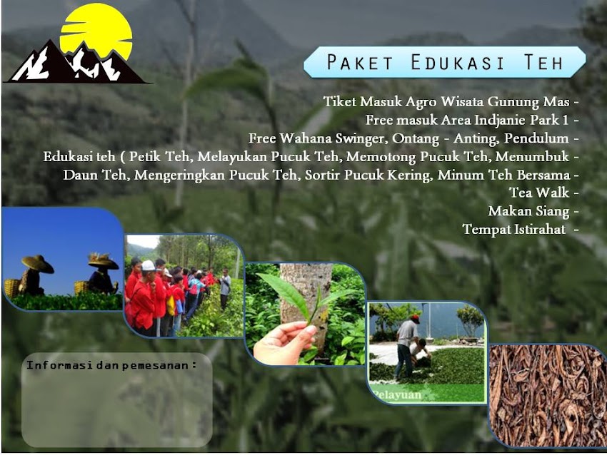 paket agro teh gunung mas puncak | gunung mas puncak | paket gunung mas puncak bogor