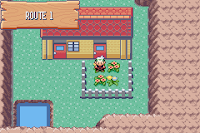 Pokemon Dumbdumb Island Screenshot 00