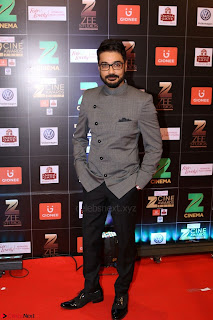 Bollywood Celebrities on the Red Carpet Of Zee Cine Awards 2017 Exclusive 115.JPG