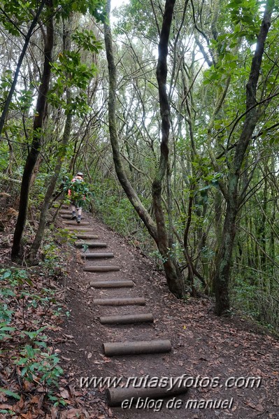 Sendero de los Sentidos - Sendero de los Enigmas