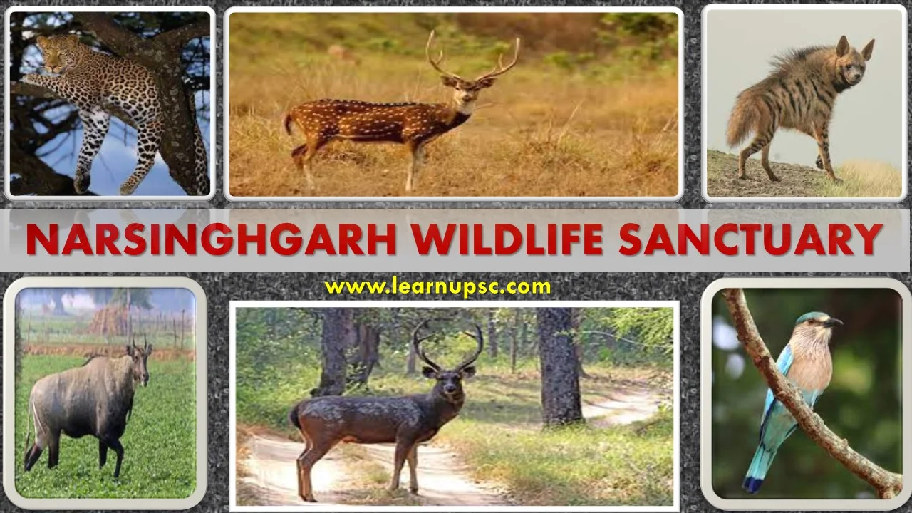 Narsinghgarh Wildlife Sanctuary