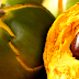 LUCUMA