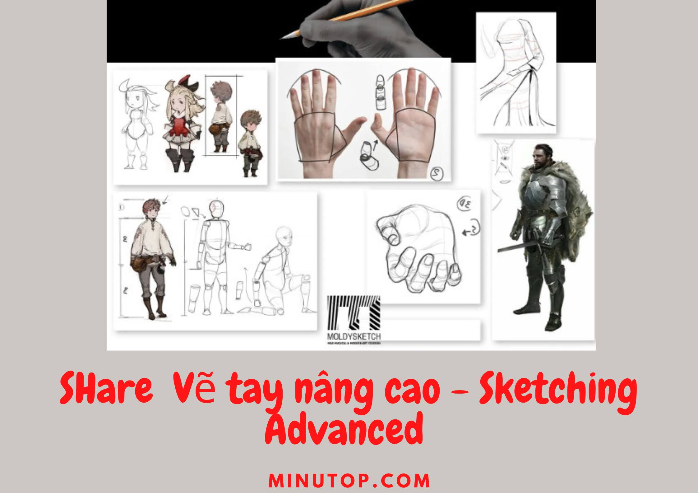 Sketching Advanced Học vẽ nâng cao cho họa sĩ bán chuyên của Moldysketch
