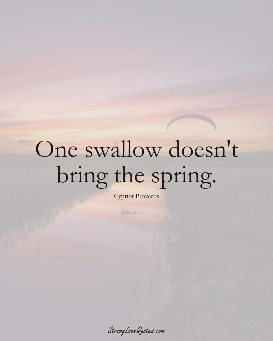 One swallow doesn't bring the spring. (Cypriot Sayings);  #MiddleEasternSayings