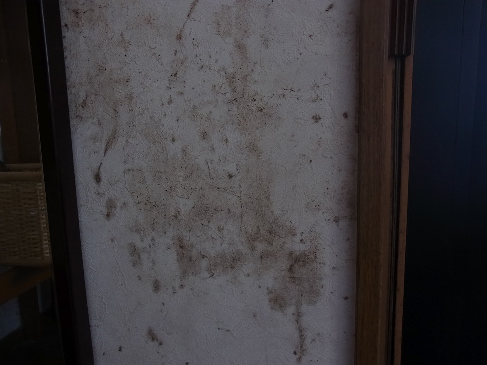 壁のカビ取り ビフォー アフター 汚部屋だらけの家を綺麗に片づけ 掃除するブログ