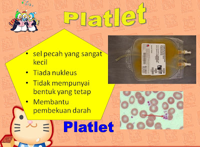 kandungan darah manusia : platlet