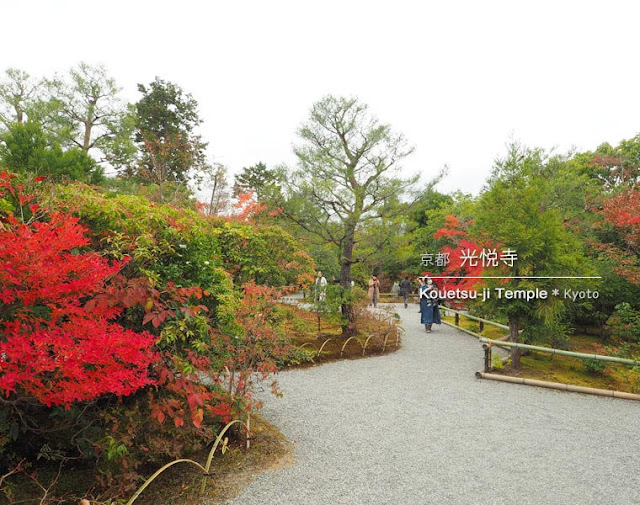 [京都] 光悦寺の庭園