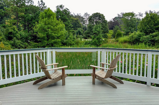 Дендрарій Фрелінхайзера, Моррістаун, Нью-Джерсі (Frelinghuysen Arboretum, Morristown, New Jersey)