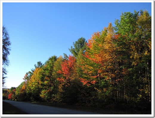 Tamdoll's walk 2010 October