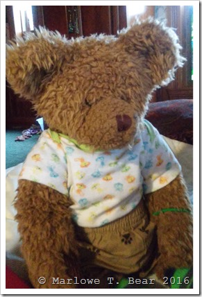 2015-12-26 Foster 2015-12-26 Foster