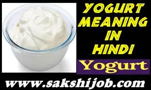 how to make Yogurt Meaning in hindi its advantages