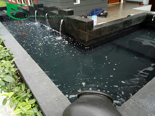 TUKANG TAMAN JAKARTA