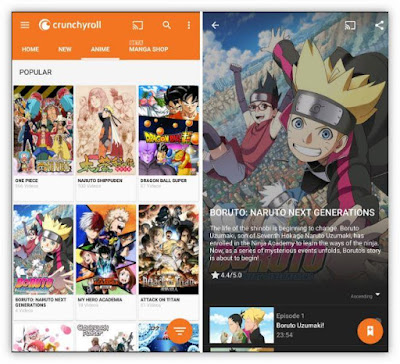 Crunchyroll App (Free)