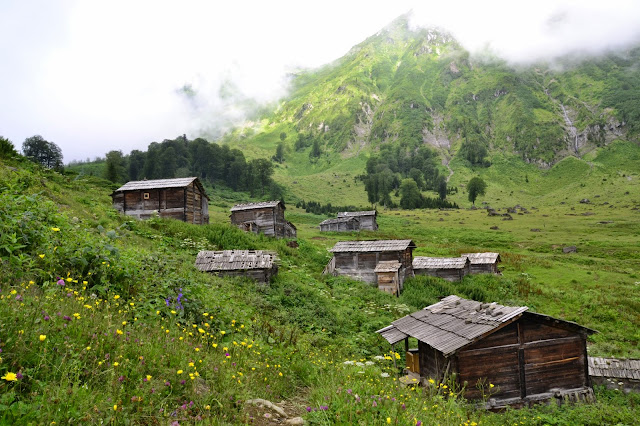 artvin şavşat arhavi ile ilgili görsel sonucu