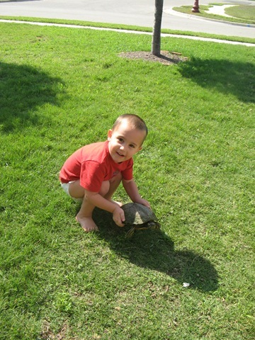 2011 May 17_8009