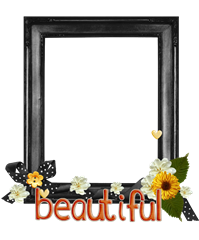 beautiful-frame