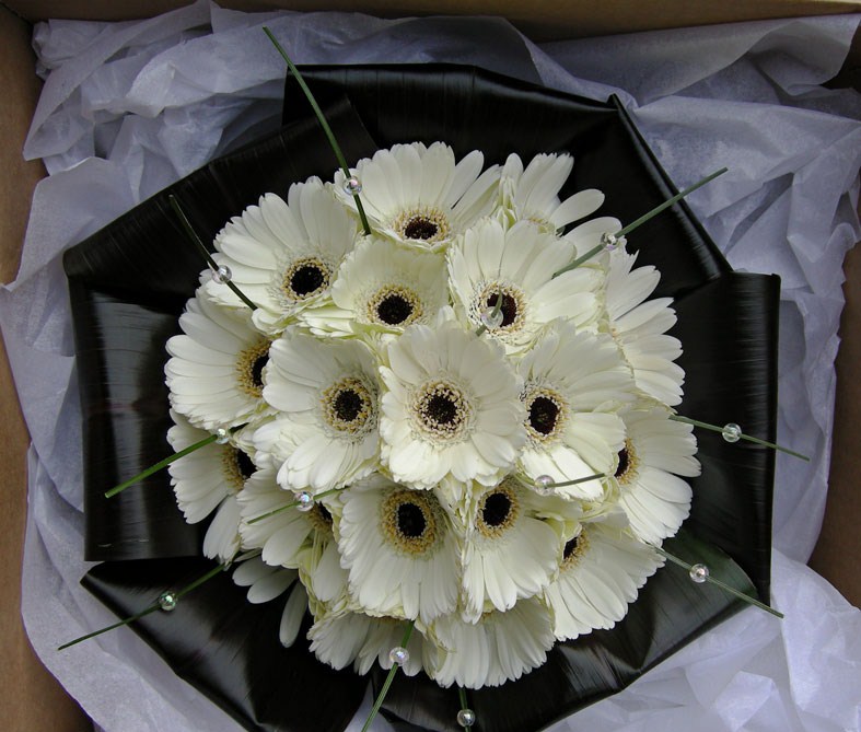 Natalie's wedding bouquet of ivory gerberas folded black tie leaves and 