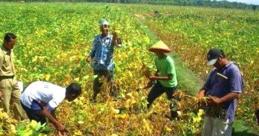 6+ Ciri serta Contoh Sikap Wirausahawan Sukses ilmucerdasku