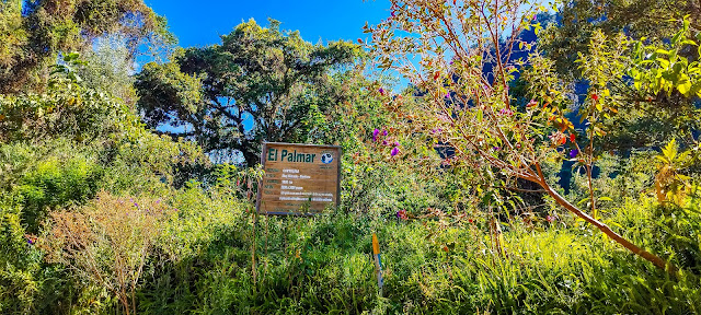 Puesto de Control de El Palmar