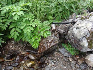 462DSC04922-462