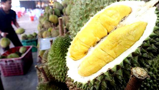 Durian Malaysia Eksport Ke China