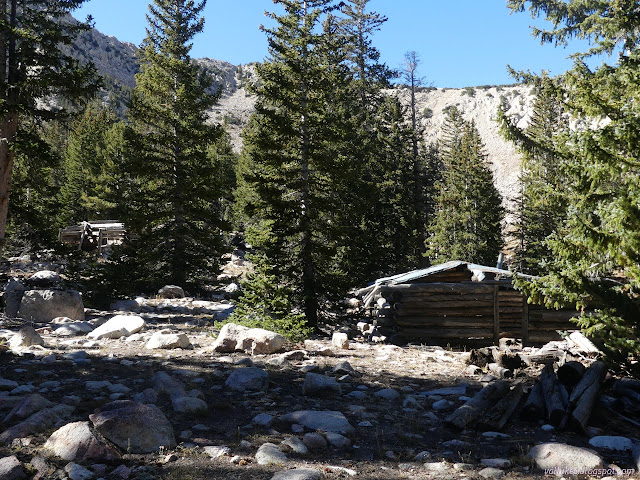 025: log built buildings