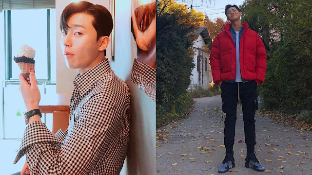 Park Seo Joon Profil