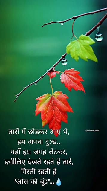 Os ki Boond Quotes / ओस की बूंद शायरी (Shayari)