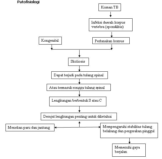 pathways pada klien dengan Skoliosis