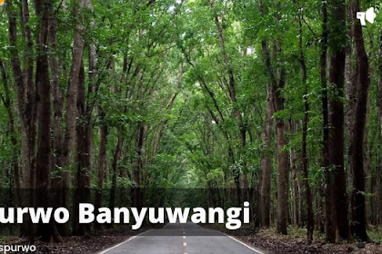 Wisata Alas Purwo Banyuwangi, Hutan Pertama di Tanah Jawa