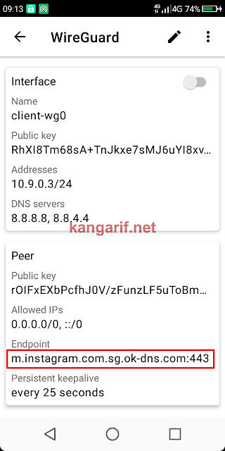 Cara Membuat Wilcard Subdomain untuk Endpoint Wireguard