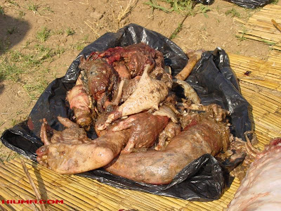 Truely Weird - Man Crushed Inside Crocodile's Stomach