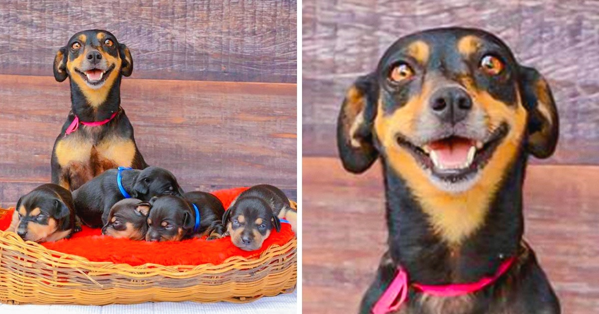 20 Adorable Pictures Of Proud Animal Parents