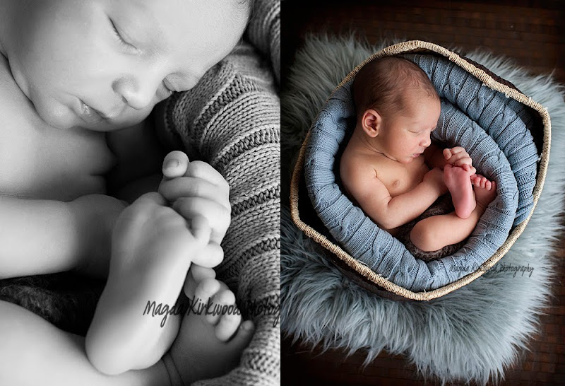 edmonton newborn photographer