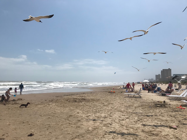 South Padre Island beach