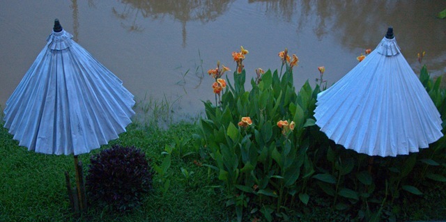 chiang mai ping river umbrellas