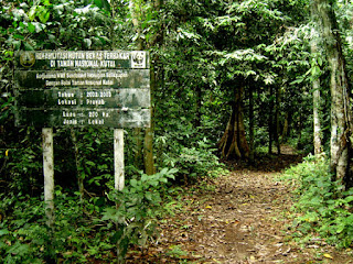 Wisata Taman Nasional Kutai