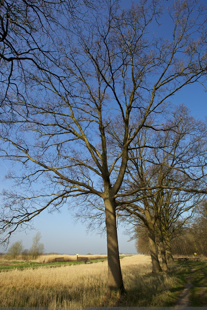 Naardermeer - Laarzenpad