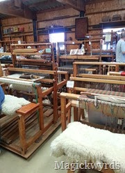 vista fiber fiesta blog