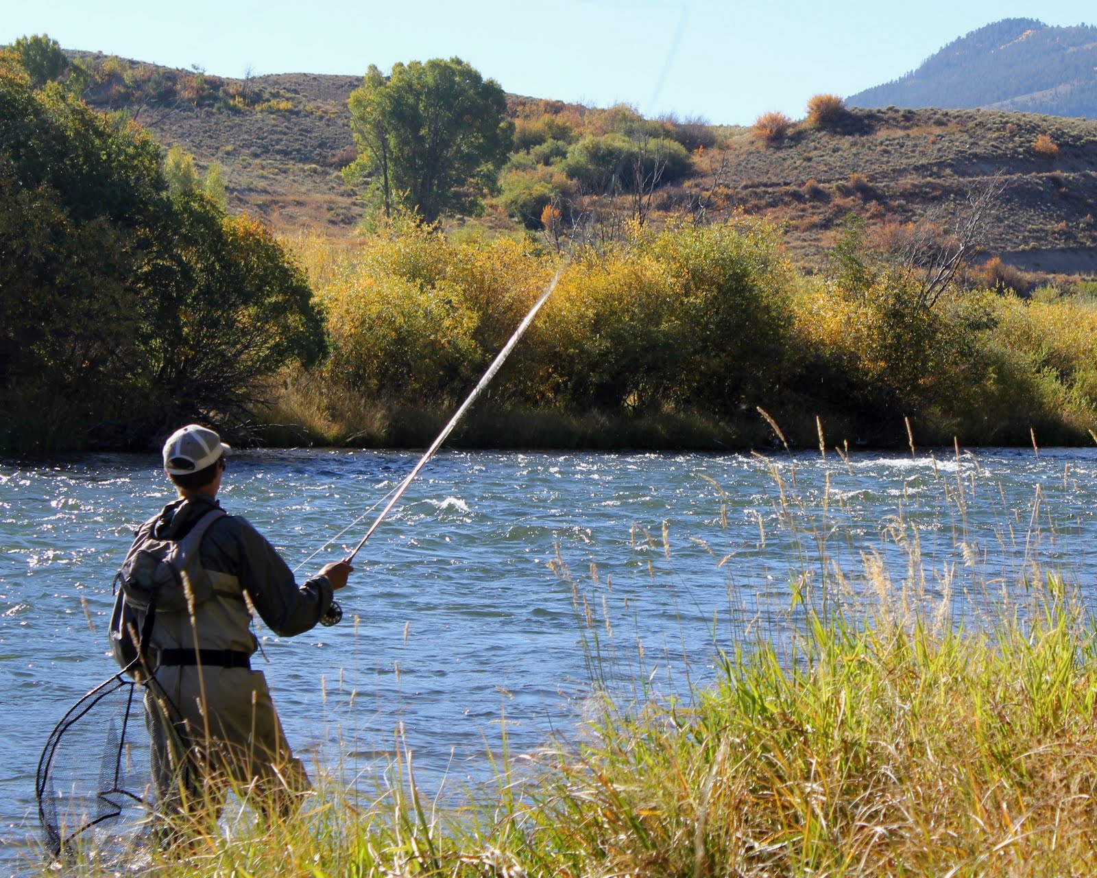 Fishing