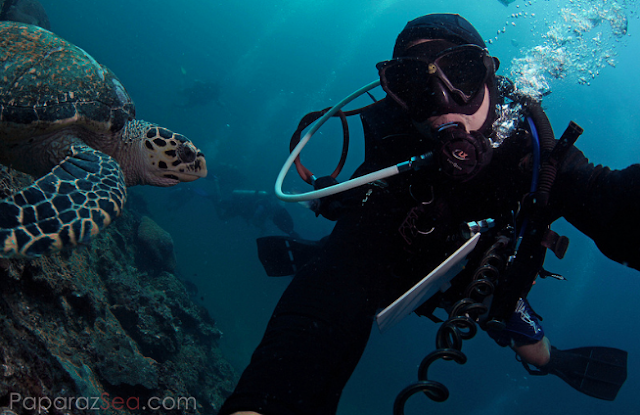 Jun V Lao, Scuba Diving, Underwater Photography, Thailand