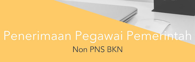 Penerimaan Pegawai Non PNS Badan Kepegawaian Negara 