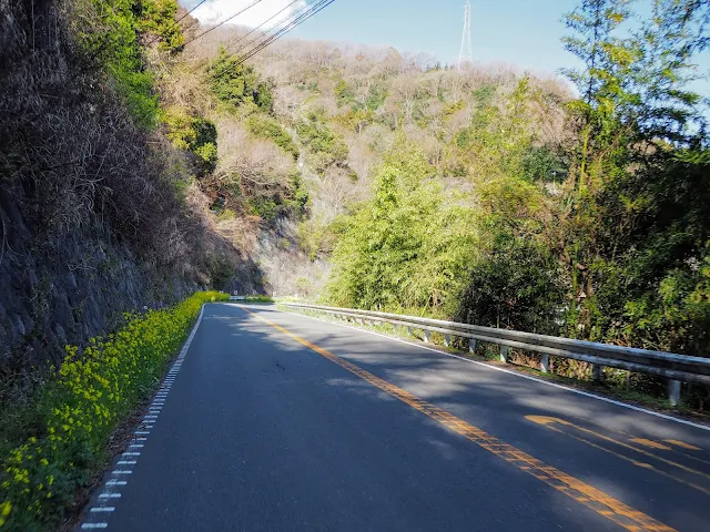 酒匂川　左岸