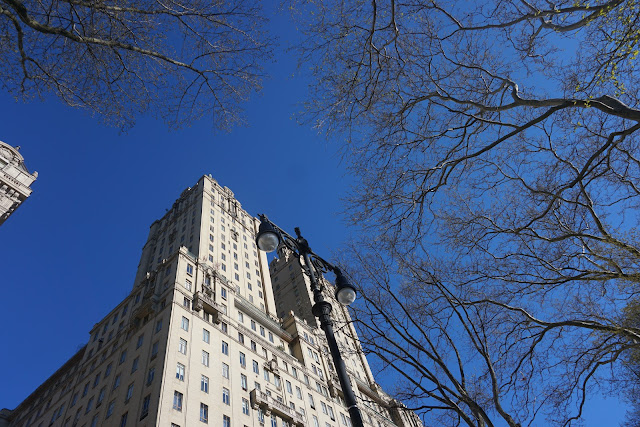 NEW YORK CITY NOFILTER TRAVEL PHOTOS SUNNY CENTRAL PARK WALK (1)