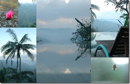 Bali3