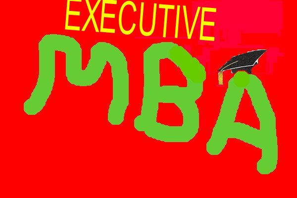 WHAT IS AN EXECUTIVE MBA?