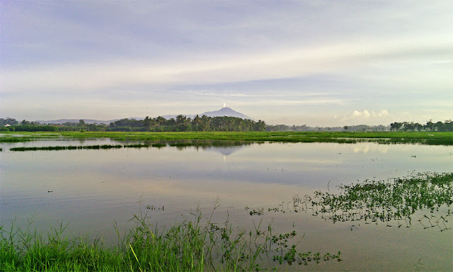 pemandangan gunung, gunung slamet