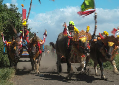 Masekepung Jembrana