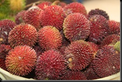 Buah-buahan tempatan 011